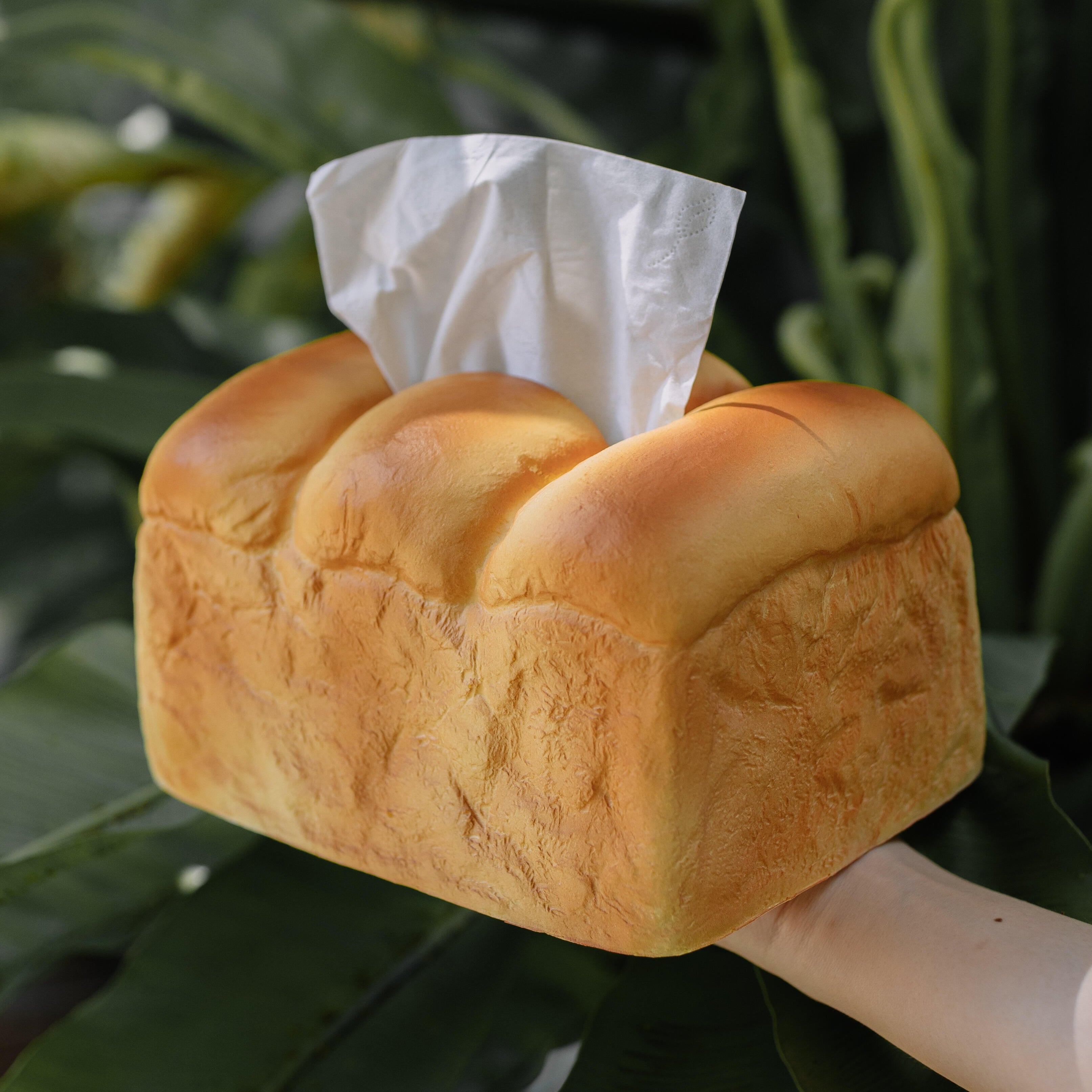 Toast Tissue Box