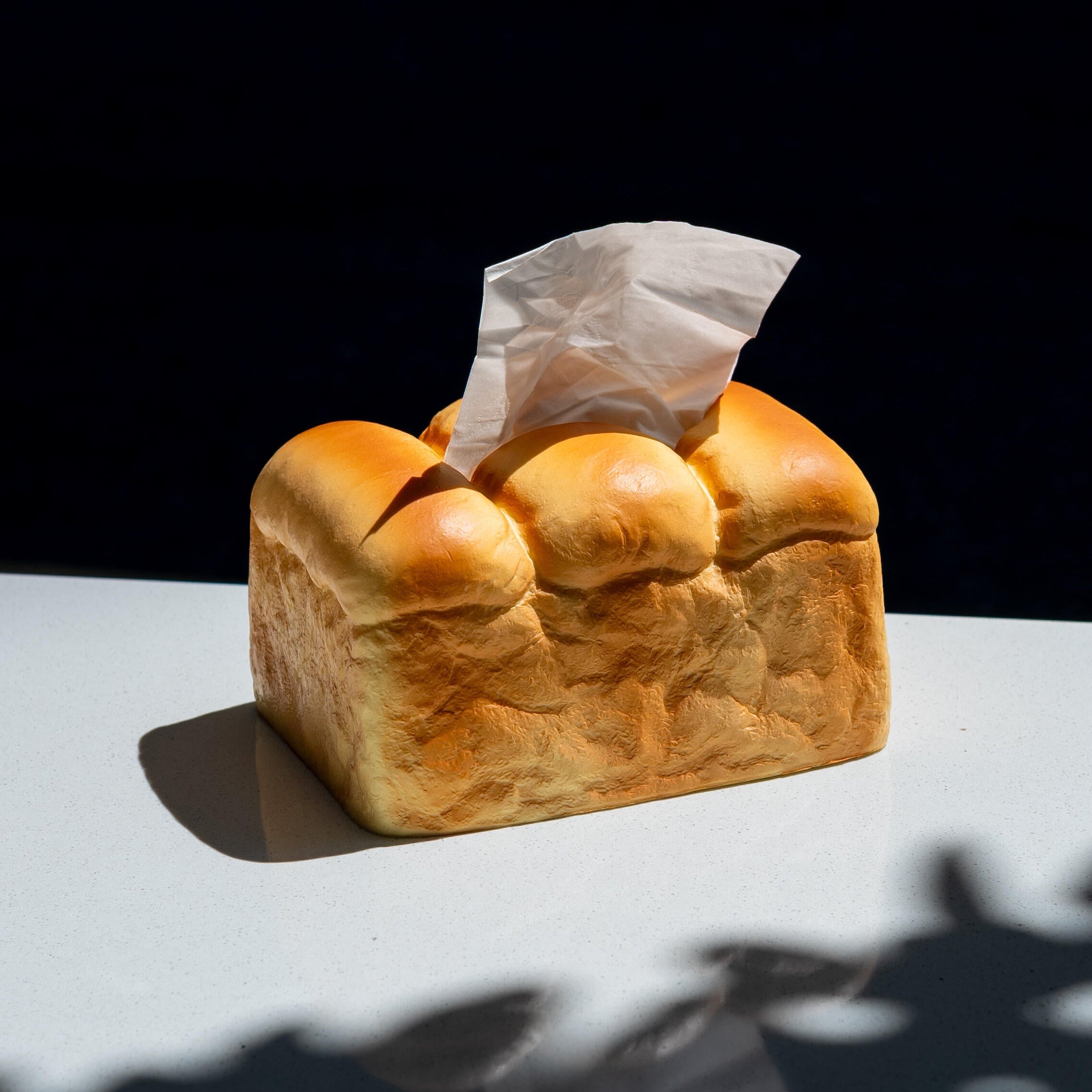 Toast Tissue Box